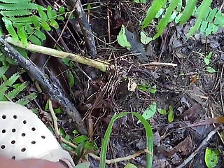 Outdoor Fuck with Step Sis