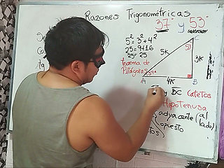 17 Trigonometry: 53 Angle - Trigonometric Ratios
