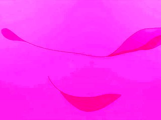 Slow Woman of Emotion_24112905p0