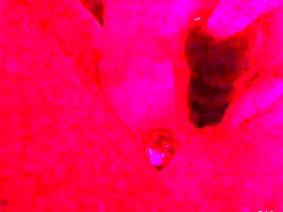 Beautiful Sonya having a horny solo toy masturbation