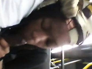 Brain's Blowjob on the Bus