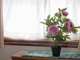 CBOCAJFUSJAKNNUZIHJUR185