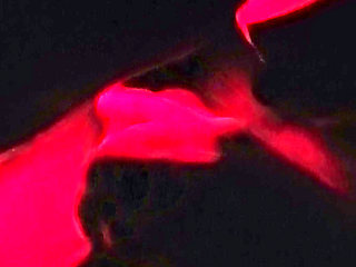 Joven masturbandose con las luces en rojo