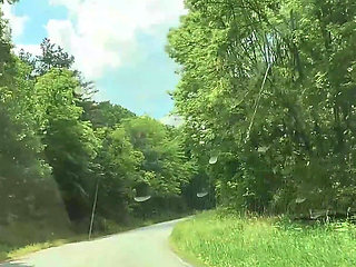 Sweet Cherry Adventure in My Car
