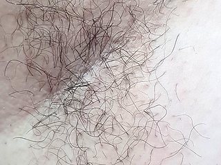 Hairy Armpit Show