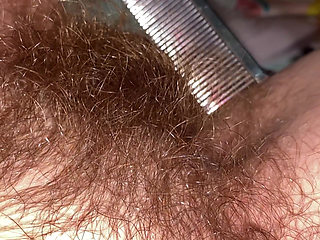 Brushing My Bush