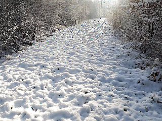 Topless Titslapping While Hiking Trough the Snow