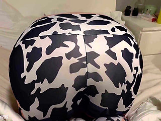 Doggy farts in leggings