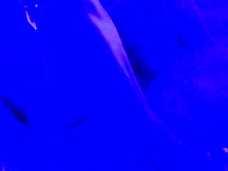 Pussy Licking