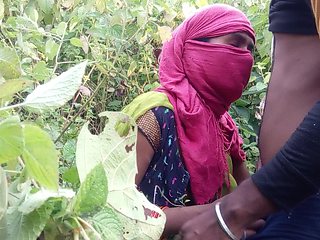 The Labourer Boy and Girl Working in the Field Went to the Jungle