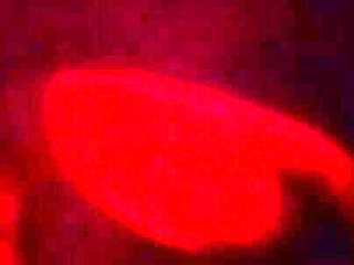 Argentina Petera. the Best Blowjob