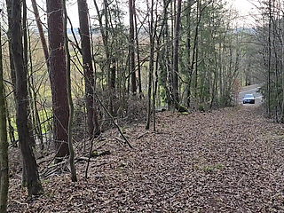 Outdoor Sex in the Woods with My Gay Slut - He Sucked Me Before Taking My Dick Bareback