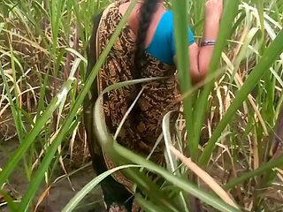 Mom step son fuck in village oudoor