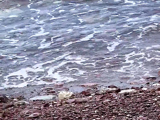 Super Risky Blowjob on Beach with 18yo Amateur Teen - Yoya Grey