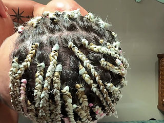 Gimme Head Like a Throat Goat