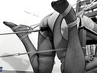 The PROPER way to sit on a chair: Bound, Bent, and BEGGING FOR MORE