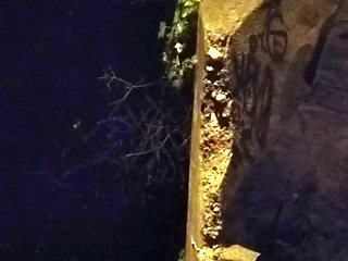 Big Tits Cheating Amateur Wife Gives Rimjob to 18 Year Old Stepson