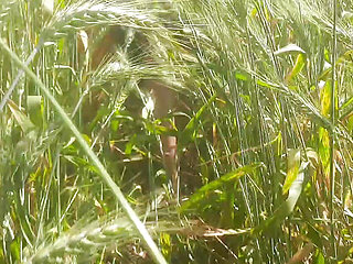 Sister-in-law after walking in the forest in the field and massaged her fat ass with her husband