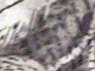 Step mom close up handjob step son dick without argue