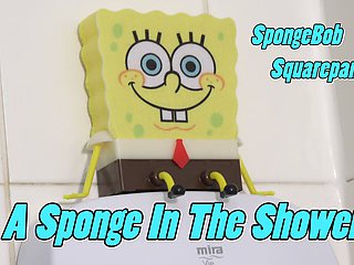 A Sponge in the Shower
