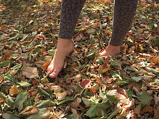 Leaves Crunching Underfoot ASMR