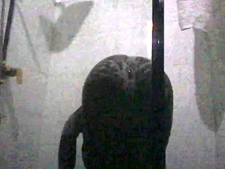 Hot Ebony Beauty Enjoying a Relaxing, Sensual Bath and strokes her pussy