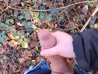 Public Handjob on Hiking Trail - Almost Caught by Hikers - German Amateur Couple