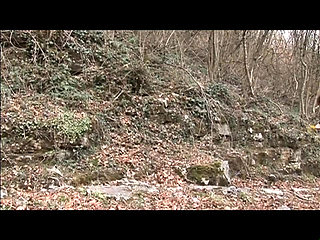 Big boobs hairy pussy milf fucking