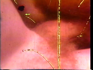 Arcadia Lake and Eric Edwards Each Other