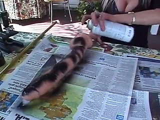 Special cuckold... Big black cock for my wife's desire...