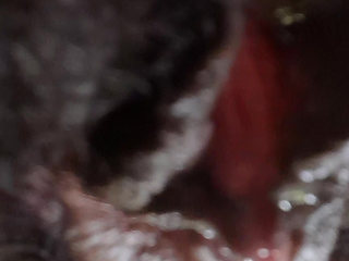 German fat hairy black pussy closeups