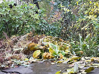 Mature Ukrainian MILF Pissing Doggystyle Outdoor - Hot Amateur Public Pee