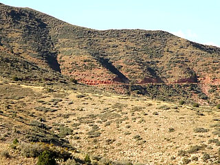 Big Boobs and Wet Pussy! MILF Gets Laid!