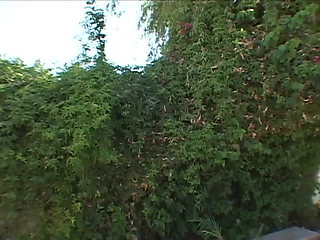 Busty with Anal Cravings