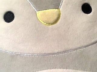 Submissive Redhead in Pigtails Adorably Strips for You