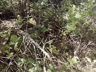 Horny Guy Sneaks Into the Woods to Jack off