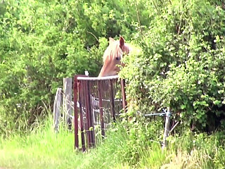 Big ass brunette enjoying in hard threesome outdoor fuck