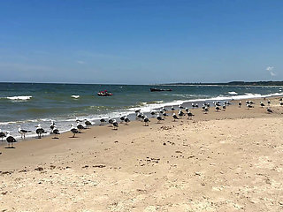 We Travel to the Beach of San Luis