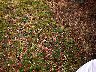 Tits Slap in Autumn