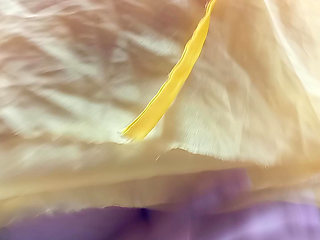 I Ride on Top of My Stepbrother