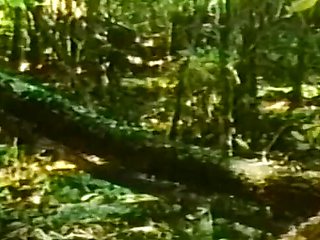 Vintage jungle domination
