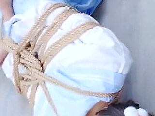 The Scenery Inside the Window Is so Wonderful