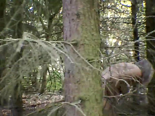 Pissing in the Forest
