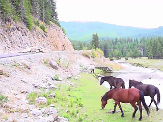 Fucking in the forest in the green nature makes my cunt wet