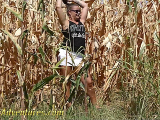 Pee in a corn field
