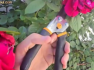 Blonde mature cockriding lover in POV