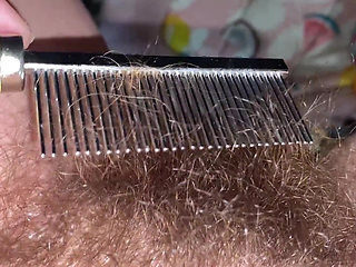 Brushing My Bush