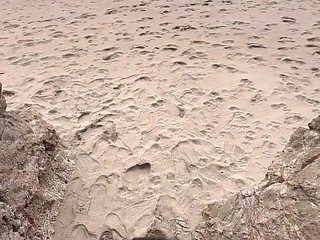 Marley Bee Sucks Dick at Ocean Beach in San Francisco