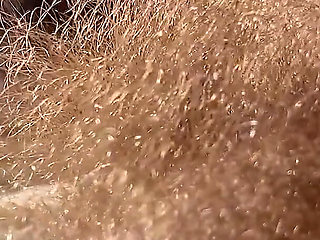 Bathe in the Forest of My Hairs