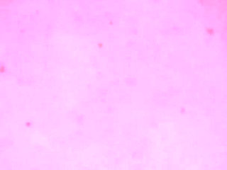 The Unicorns Interview